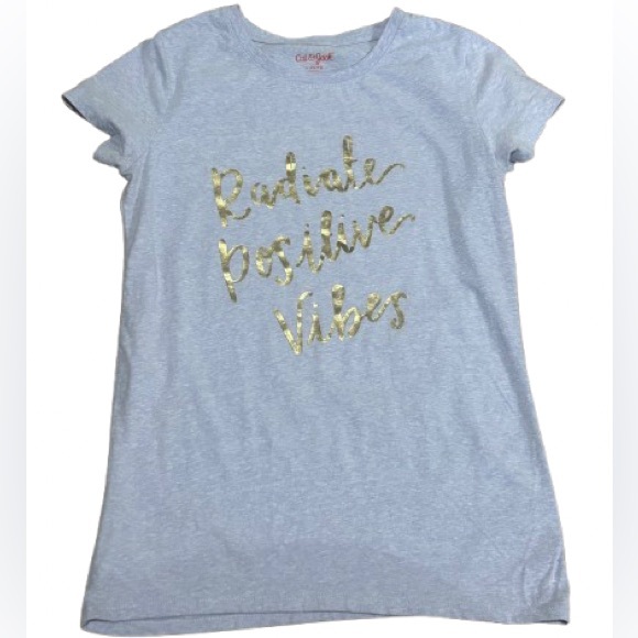 Cat & Jack Other - Cat & Jack Girls Blue/Purple Tee with Gold Writing Size Large 10/12